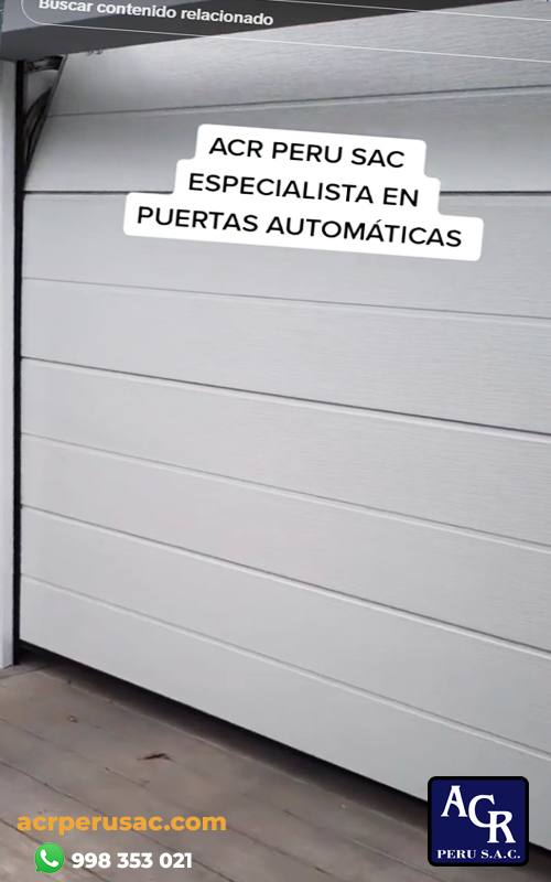 puerta seccional5